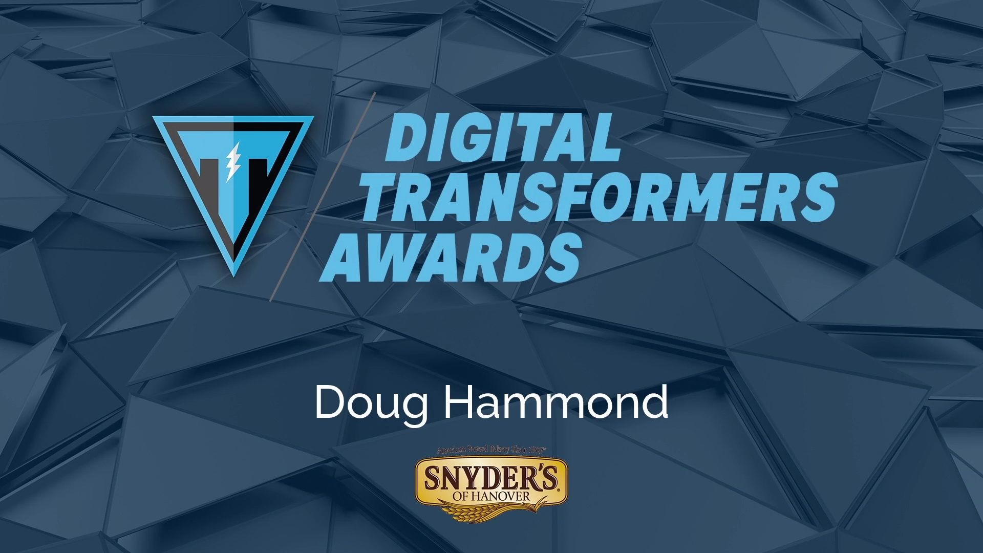 Transformers Award Winner 2019 Snyder's Hanover